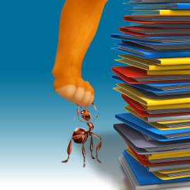 Tender Documents to Help the Average Ant