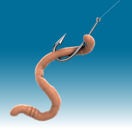 Getting a chance at the Worm