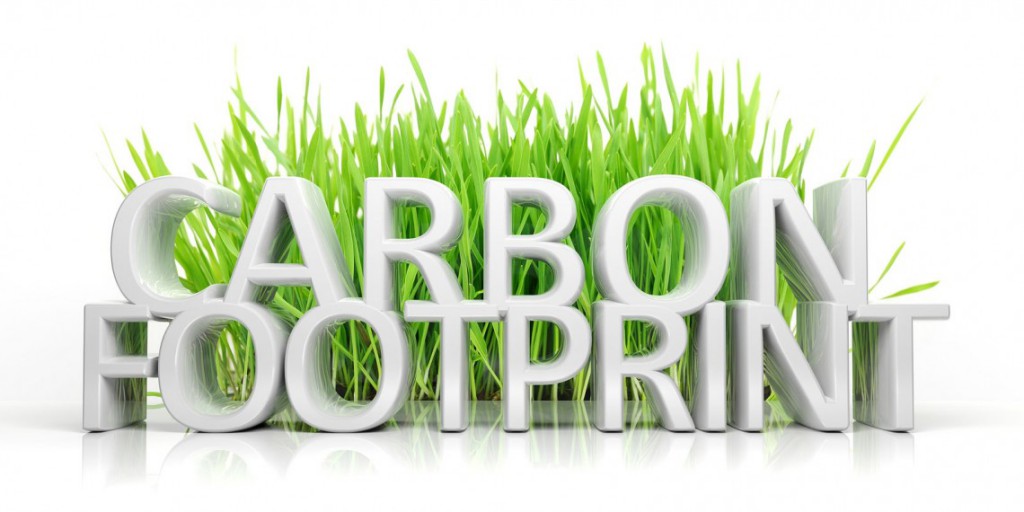 Carbon Footprint