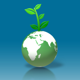 L2B Blog: 10 Simple ways to go green