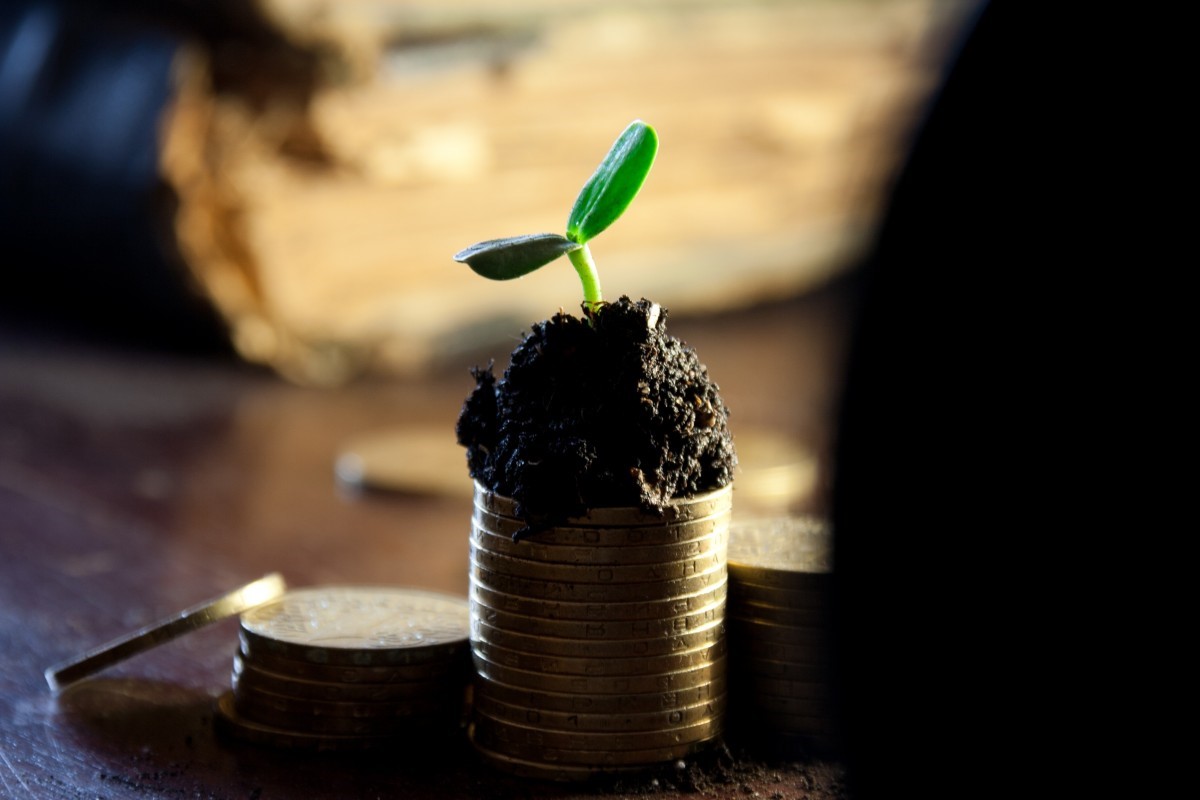 Growth Strategies from an Expert Growth Strategies from an Expert