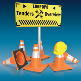 Tender Infographic: Limpopo