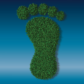Why go Green? Is it really worth it?