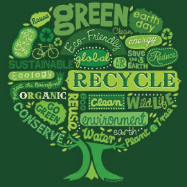 How to Go Green without Breaking the Bank