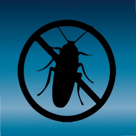 Essential Tips on Pest Control in Construction