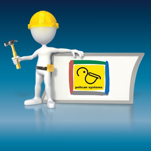 Featured Company: Pelican Systems