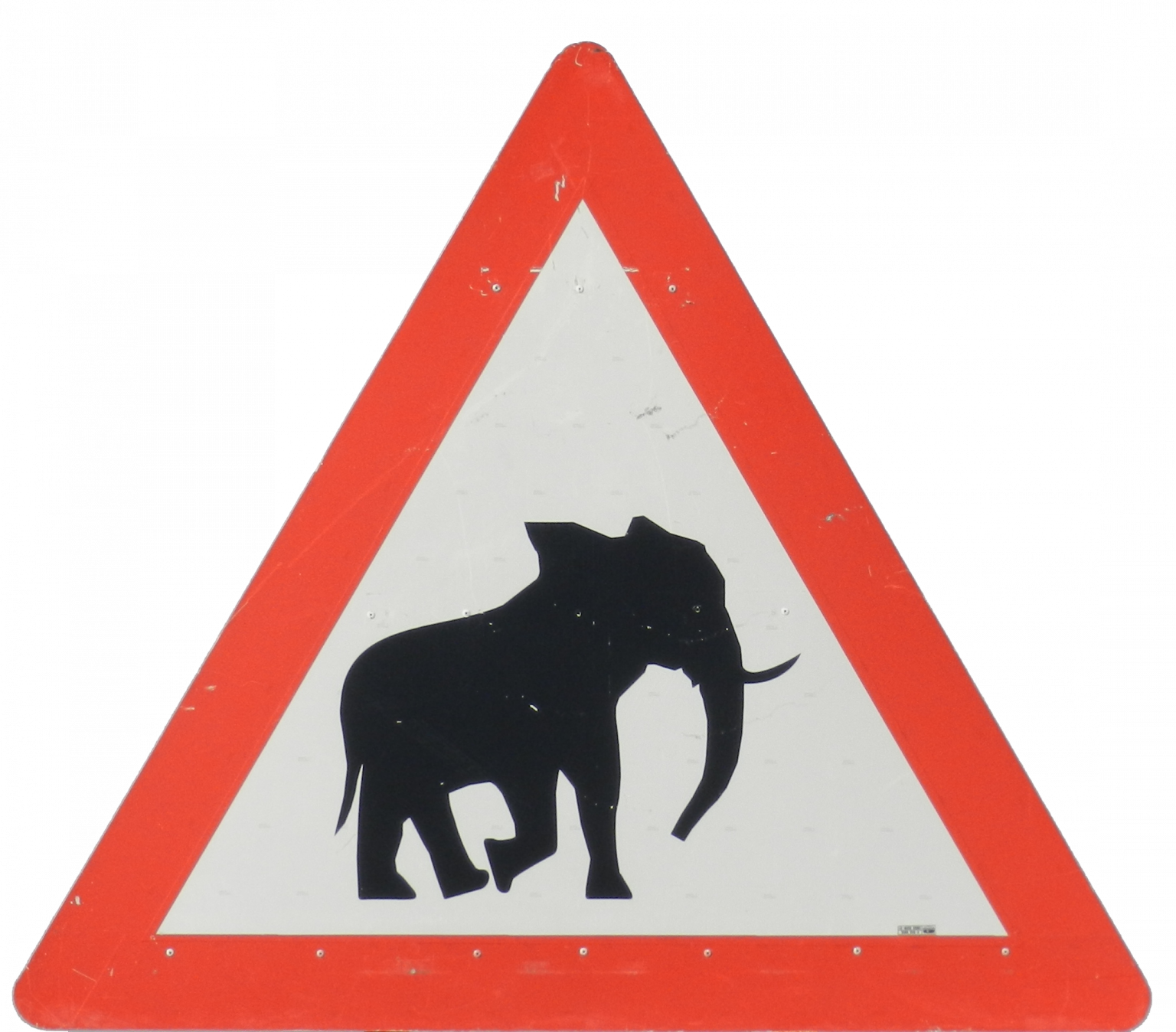 elephants-leads-2-business-blog